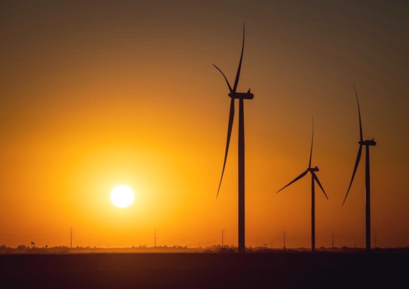 Étudiants collaborant sur un projet d'énergie durable